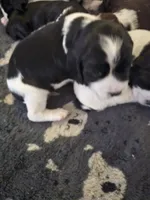 processed/59d08490-a99e-47fc-b257-fab2b7eff9ed/listing/63a23701-62ed-46fb-a568-93e9611c6ea8/ce34f476-4243-41be-a609-077a9dfe0a06