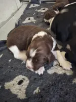 processed/59d08490-a99e-47fc-b257-fab2b7eff9ed/listing/6a03adae-9593-4e9b-be16-d0aa686cb54f/5c673ac2-82ee-406a-afbd-a1b354e3c312