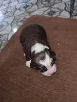 processed/59d08490-a99e-47fc-b257-fab2b7eff9ed/listing/8882a8be-25fa-498f-b0a1-c5a47a797922/0bd8384d-3bc4-4e3a-a1ea-4c91d4295a1b