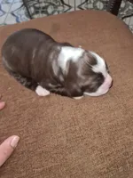 processed/59d08490-a99e-47fc-b257-fab2b7eff9ed/listing/8882a8be-25fa-498f-b0a1-c5a47a797922/d8a21b8d-6a8f-405a-88ba-04cad757b603