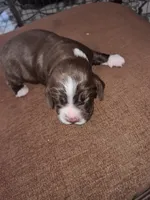 processed/59d08490-a99e-47fc-b257-fab2b7eff9ed/listing/8882a8be-25fa-498f-b0a1-c5a47a797922/dd77e804-bdb9-4a1b-a713-5943906ec93e