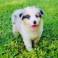 processed/59d37188-5090-4e9e-98ed-0618df749d97/facility/2542d767-2ece-4488-aad8-76486e3a1ec2