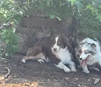 processed/59d37188-5090-4e9e-98ed-0618df749d97/facility/a0b34f61-7454-422b-9738-b2e94ff8f9a0