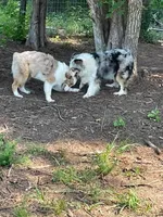 processed/59d37188-5090-4e9e-98ed-0618df749d97/facility/da69a94e-8fdc-4a25-9f02-06dc05b7e619