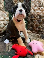 processed/59d37188-5090-4e9e-98ed-0618df749d97/facility/f8abe981-16a0-4c22-ba50-c35ac6cbcf93