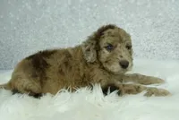 processed/59d3da05-62fc-49da-8b59-915fee19bdaf/listing/8423f1fa-5341-4b46-8c87-12c6e6e544d2/4069be8f-4be2-4f16-a115-97dfaa3c403d