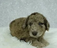 processed/59d3da05-62fc-49da-8b59-915fee19bdaf/listing/8423f1fa-5341-4b46-8c87-12c6e6e544d2/deae2063-4146-4bd0-8bf3-e0fea847a01e