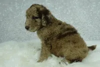 processed/59d3da05-62fc-49da-8b59-915fee19bdaf/listing/8423f1fa-5341-4b46-8c87-12c6e6e544d2/e2cbec44-f817-4b57-b1de-b9dc403320ce