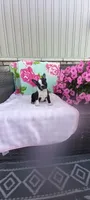 Brylie, a female Boston Terrier for sale in Woodburn, IN – 1 of 7