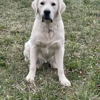 processed/59f87cee-787d-4cf7-bcdc-8cecfa41a61d/facility/0d55b27d-ec8f-4d87-bab6-deec33a8052e