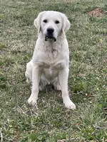 processed/59f87cee-787d-4cf7-bcdc-8cecfa41a61d/facility/0d55b27d-ec8f-4d87-bab6-deec33a8052e