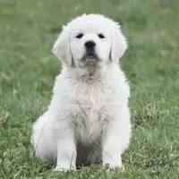 processed/59f87cee-787d-4cf7-bcdc-8cecfa41a61d/facility/165909e3-3c31-4780-9b2c-d3adf85fc4df