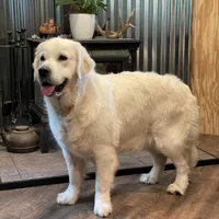 processed/59f87cee-787d-4cf7-bcdc-8cecfa41a61d/facility/17ca7678-0bc6-476e-beee-0a186cf3be48