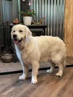 processed/59f87cee-787d-4cf7-bcdc-8cecfa41a61d/facility/17ca7678-0bc6-476e-beee-0a186cf3be48