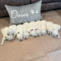 processed/59f87cee-787d-4cf7-bcdc-8cecfa41a61d/facility/671a780c-be36-4033-a6fb-145a9c67eb52