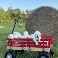 processed/59f87cee-787d-4cf7-bcdc-8cecfa41a61d/facility/a8ecae21-80e5-426e-abbd-23638c52f64b