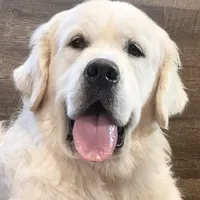 processed/59f87cee-787d-4cf7-bcdc-8cecfa41a61d/facility/cefa0baa-d8ff-4674-a488-53824c49e66c