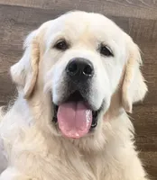 processed/59f87cee-787d-4cf7-bcdc-8cecfa41a61d/facility/cefa0baa-d8ff-4674-a488-53824c49e66c