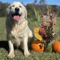 processed/59f87cee-787d-4cf7-bcdc-8cecfa41a61d/facility/d9aabb5b-5f6a-4fe9-b53b-db39ae5ba2fc