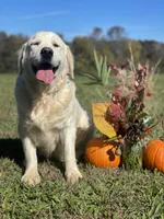 processed/59f87cee-787d-4cf7-bcdc-8cecfa41a61d/facility/d9aabb5b-5f6a-4fe9-b53b-db39ae5ba2fc