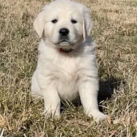 processed/59f87cee-787d-4cf7-bcdc-8cecfa41a61d/facility/e693e8fb-ce2f-4525-b9f9-f92340ea8652