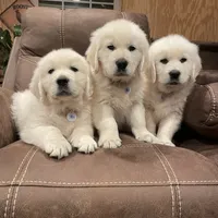 processed/59f87cee-787d-4cf7-bcdc-8cecfa41a61d/facility/e9143a0d-2778-4ce3-8629-fe11116e59f3