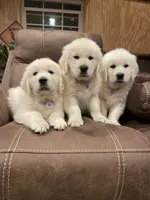 processed/59f87cee-787d-4cf7-bcdc-8cecfa41a61d/facility/e9143a0d-2778-4ce3-8629-fe11116e59f3