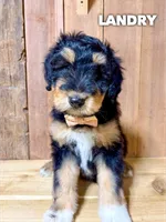 processed/5a07f01f-bd64-4bdd-b0cb-f795eb54d2e6/listing/42b176e2-2556-4d31-9bcb-79578f7927ef/7bb7daff-153d-482c-9db6-37828bd2c435