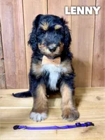 processed/5a07f01f-bd64-4bdd-b0cb-f795eb54d2e6/listing/47e7295e-5941-438a-a28f-5adf867ecca0/7ef8ea24-34ce-4f73-b0c6-21cfadb86209