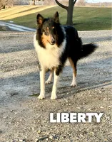 processed/5a07f01f-bd64-4bdd-b0cb-f795eb54d2e6/listing/d2eeba76-9ce6-4823-8309-32a8bc663856/5856679b-960f-4118-be10-f7949ae8fe88