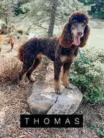 processed/5a07f01f-bd64-4bdd-b0cb-f795eb54d2e6/listing/d2eeba76-9ce6-4823-8309-32a8bc663856/caf4f5f0-ec50-4c1a-b5ce-513b361aaec3