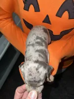 processed/5a0e1a47-b79a-4662-bbe0-61f78665b815/listing/d4c52d0e-aca0-4538-b28e-fa463ea0dee3/0351ddc8-9e2c-4b11-8a76-1f5ae30aa965