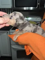 processed/5a0e1a47-b79a-4662-bbe0-61f78665b815/listing/d4c52d0e-aca0-4538-b28e-fa463ea0dee3/886deebf-0faf-4b04-bcd6-0002183e16c1