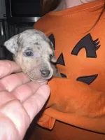 processed/5a0e1a47-b79a-4662-bbe0-61f78665b815/listing/d4c52d0e-aca0-4538-b28e-fa463ea0dee3/97047042-32d9-4417-b8f0-39dc1949af63