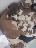 processed/5a117a5f-13c1-4b92-a6cf-353350afcbe1/facility/19d7644c-e1f4-43ca-bc6c-e80c56f80b2f