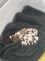 processed/5a117a5f-13c1-4b92-a6cf-353350afcbe1/facility/7420a8be-ad8d-489a-91e7-56f13d7f577c