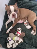 processed/5a117a5f-13c1-4b92-a6cf-353350afcbe1/facility/7f502824-3653-42c3-93de-619270d07634