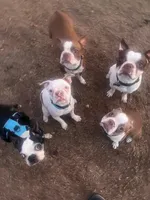 processed/5a117a5f-13c1-4b92-a6cf-353350afcbe1/facility/cf6c5656-0452-45f1-9292-cdb108cd23a6