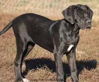 processed/5a1469d4-3826-4345-8b01-7d89096f9ba6/listing/498a431f-55e4-4b32-8c52-e78c9d1aad2b/97ded9f3-cb50-4964-9c7d-8df446d9b564