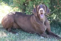 processed/5a1469d4-3826-4345-8b01-7d89096f9ba6/listing/498a431f-55e4-4b32-8c52-e78c9d1aad2b/e0f2f135-ae77-455e-a056-8d7c207af91a