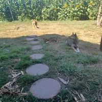 processed/5a163855-6617-4875-be00-5d4ea6f99c1f/facility/4583a085-1157-457f-838d-b10aa8126f4c