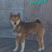 processed/5a163855-6617-4875-be00-5d4ea6f99c1f/facility/46499a7a-b10a-4bed-a460-55ec459b3e9a