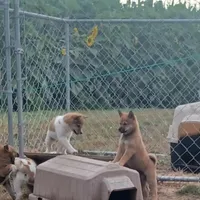 processed/5a163855-6617-4875-be00-5d4ea6f99c1f/facility/a1eddc73-daa4-4c92-9e11-a7557e3f84ff