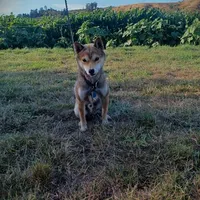 processed/5a163855-6617-4875-be00-5d4ea6f99c1f/facility/e5903139-4d3e-416d-92dd-242e496b2f38