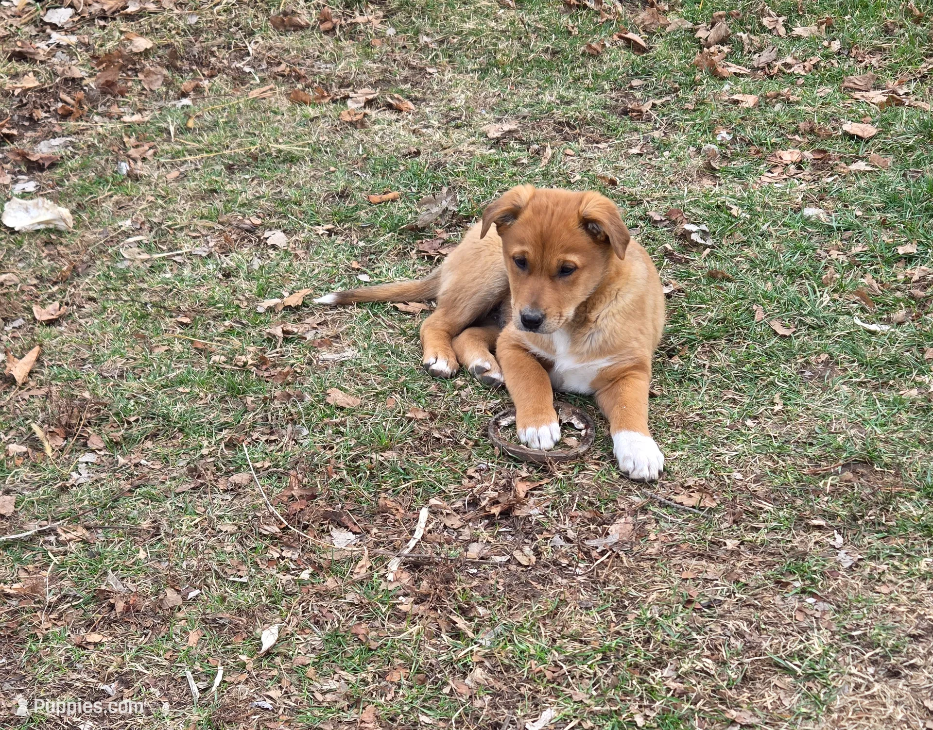 processed/5a16a881-3ba2-43b4-b8b5-ef95dd9deadd/listing/aafed08c-7bd0-4a7a-91c6-60e0843155a4/2854c1d7-f1b8-4b2c-8db2-235a0d3bee7c