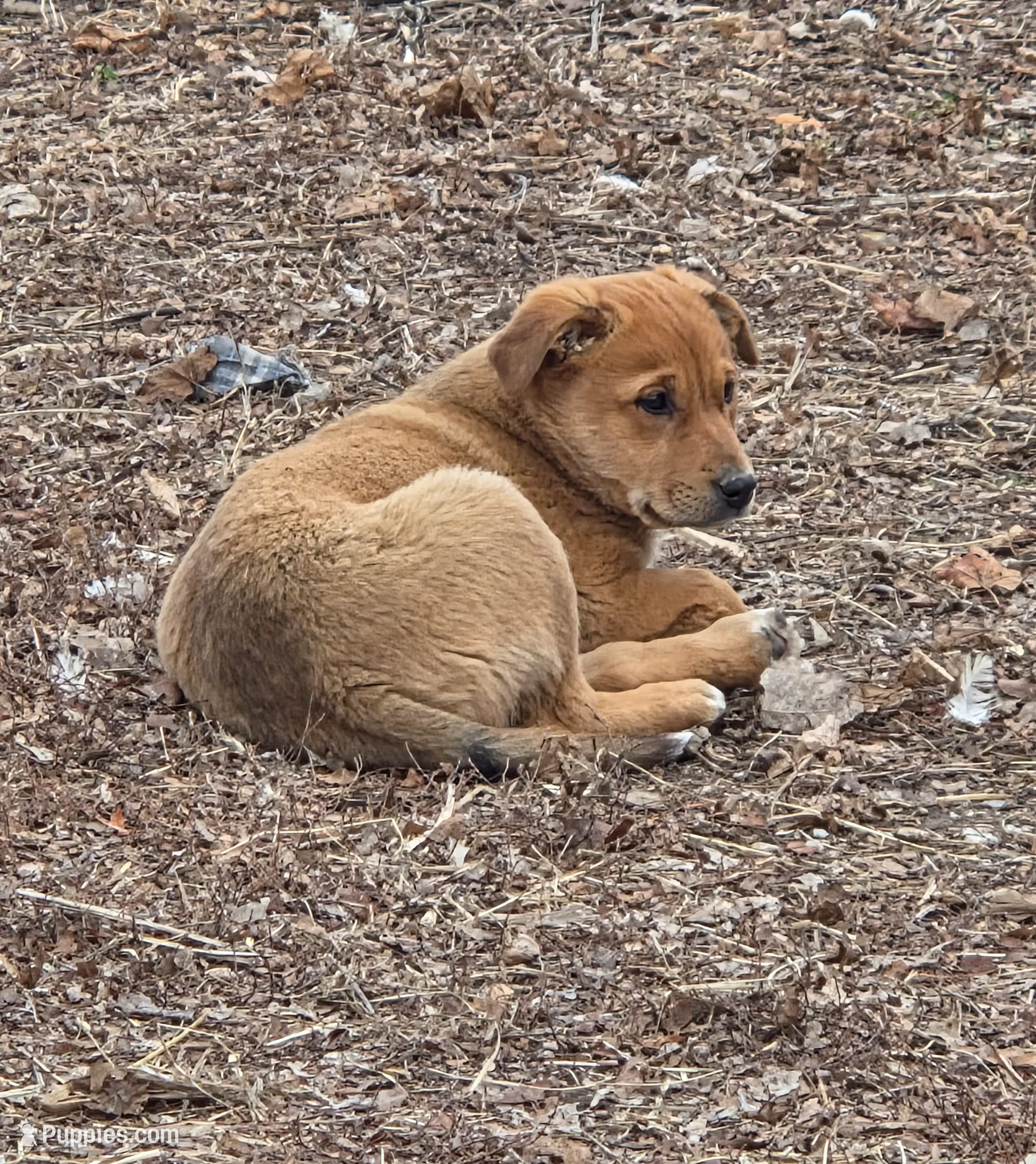 processed/5a16a881-3ba2-43b4-b8b5-ef95dd9deadd/listing/aafed08c-7bd0-4a7a-91c6-60e0843155a4/2acaf417-e839-4a92-a8f1-851e4875db9f