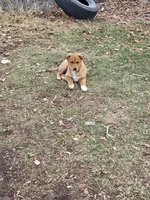 processed/5a16a881-3ba2-43b4-b8b5-ef95dd9deadd/listing/aafed08c-7bd0-4a7a-91c6-60e0843155a4/9b981ad4-464c-4e82-95aa-bdba705b9913