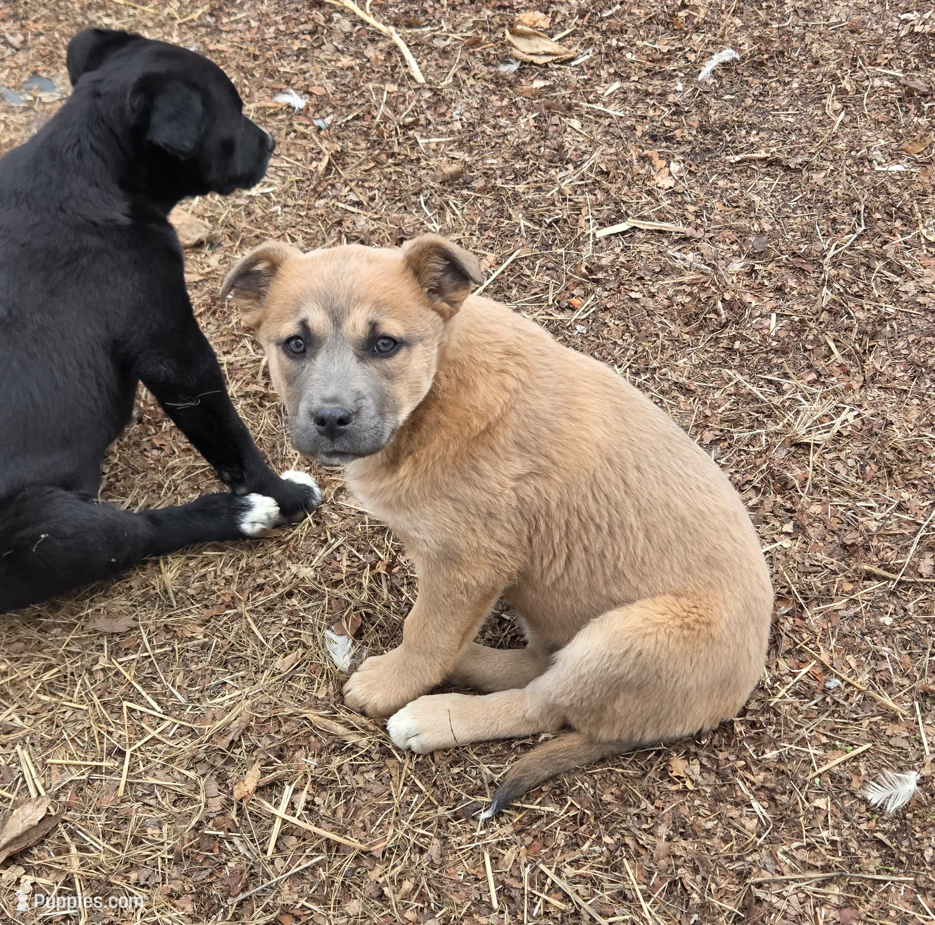 processed/5a16a881-3ba2-43b4-b8b5-ef95dd9deadd/listing/f82e4346-6ba7-4f12-b04f-271ac76b97a8/309639d4-bbb5-4516-bbe4-9c6b6470286c