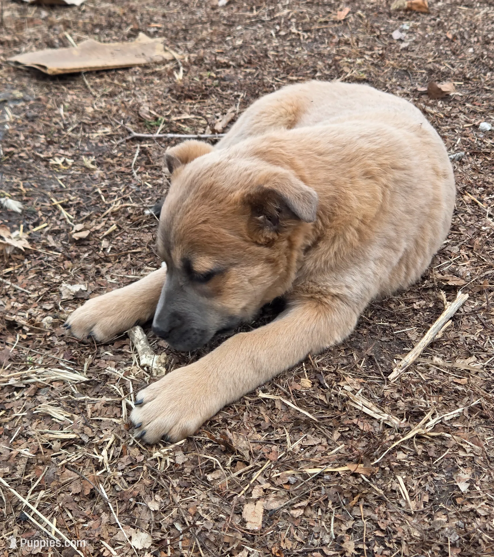 processed/5a16a881-3ba2-43b4-b8b5-ef95dd9deadd/listing/f82e4346-6ba7-4f12-b04f-271ac76b97a8/4e59995f-a9cd-408f-9e23-1ecd79861eb0