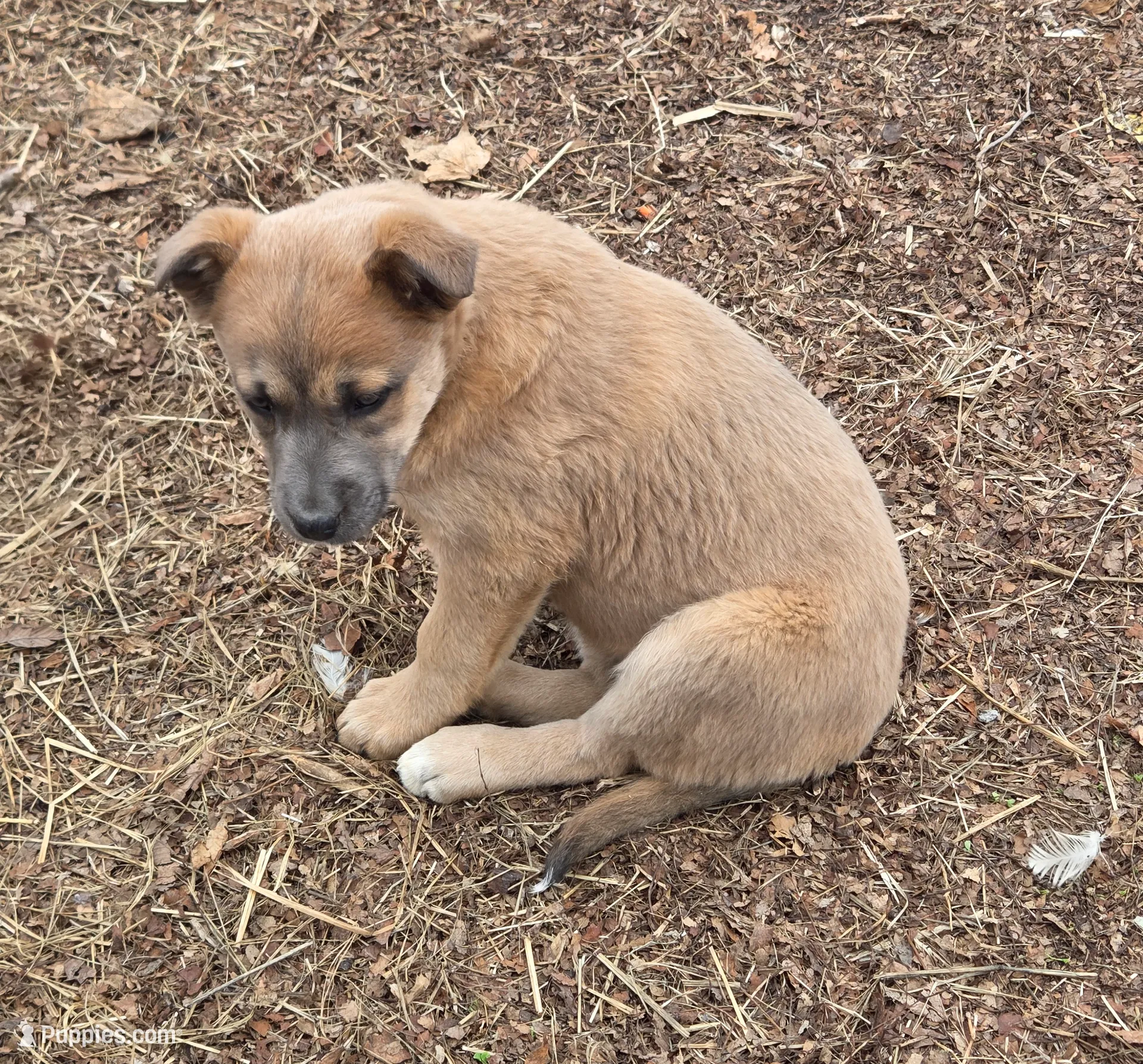 processed/5a16a881-3ba2-43b4-b8b5-ef95dd9deadd/listing/f82e4346-6ba7-4f12-b04f-271ac76b97a8/64a2bd71-ca75-470f-aae6-7cf811e7d6ae